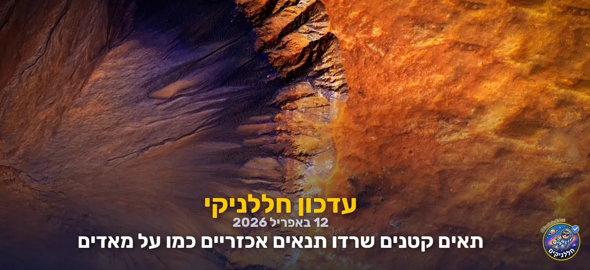 תאים קטנים שרדו תנאים אכזריים כמו על מאדים